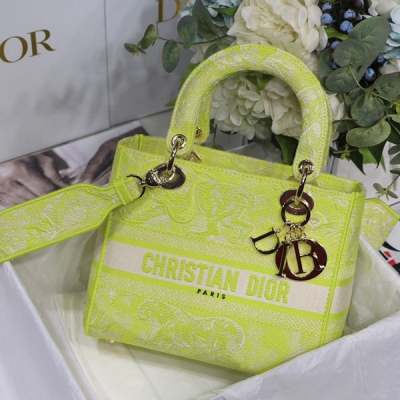 Dior迪奧 螢光綠老虎淺金 Lady Dior 刺繡系列 M8002 最新系列，汲取大量自然元素，色調貼近植被，各式蔓藤印花，刺繡和鏤空等形式呈現自然之美大大突破常規的包型，布面材質得運用.耳目一新.刺繡 Logo 正面添加優雅中帶著帥氣